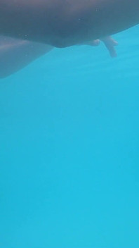Indian Desi Couple Hot Moments at Hotel Swimming Pool