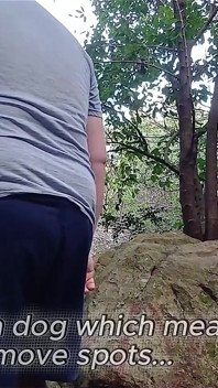 Beruang dalam Hutan