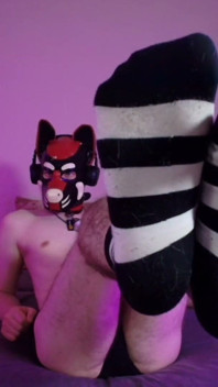 Bare Pup Paws Right in Your Face