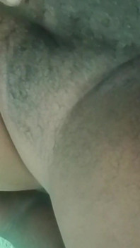 Cock Cock