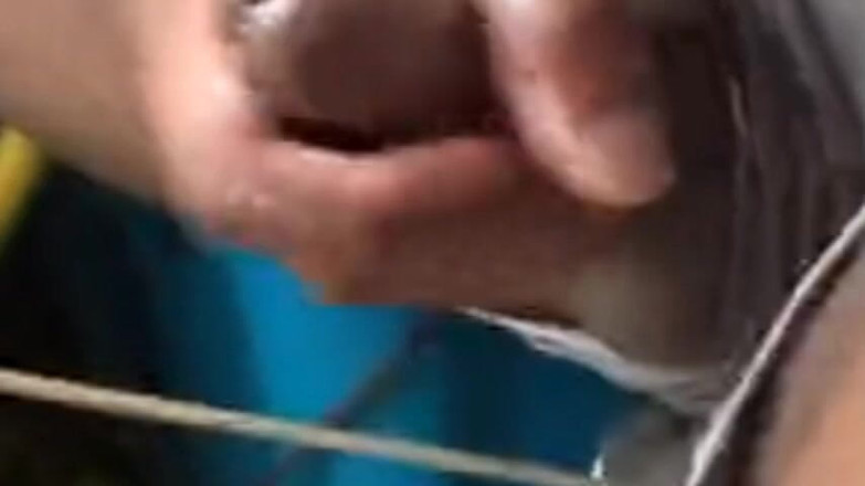 Cum Jacking: Quando viene ricordata la Sua figa