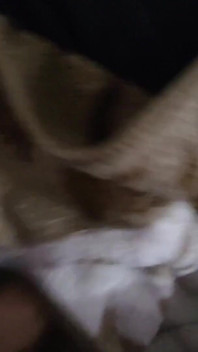 My Cuckold Discovered the Photos of the Sex I Had with My Neighbor, I Had to Confess Everything.