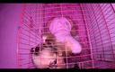 Lily lollipops: A Young Girl Is Taken Out of Her Cage and...