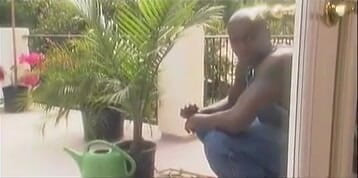 Perfect Porno: Mexican immigrant gets deep penetrated by an African cock