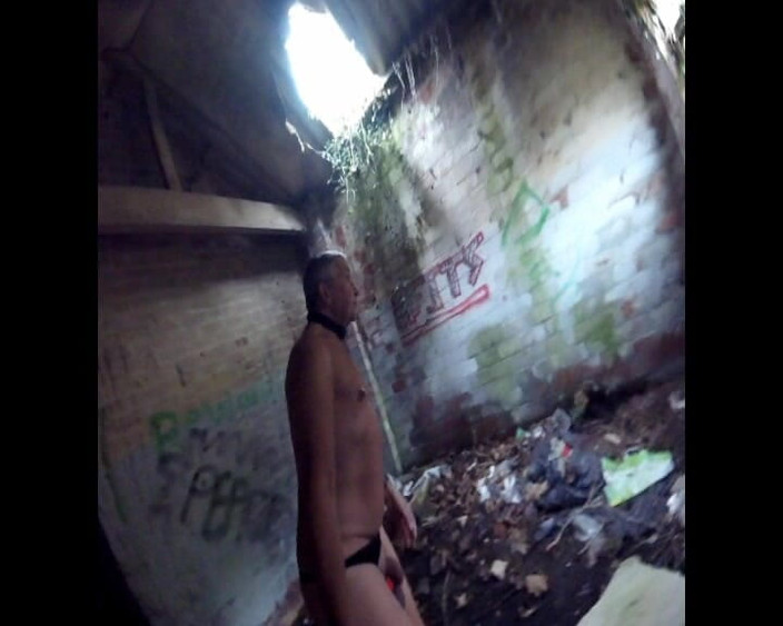 Andy: Promenade dans les bois en novembre