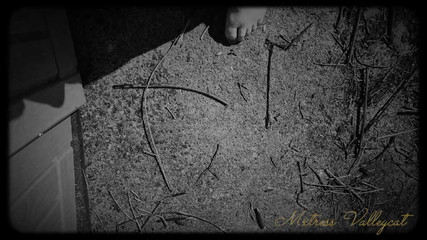 Mxtress Valleycat: Kölem olmak için yedi gün