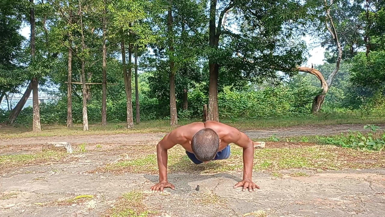 LinearOrnament35: 100 Push up Challenge Live Purup