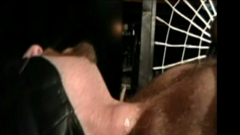 BERLIN BAREBACK CLUB: Hard BDSM Session I Nbackroom