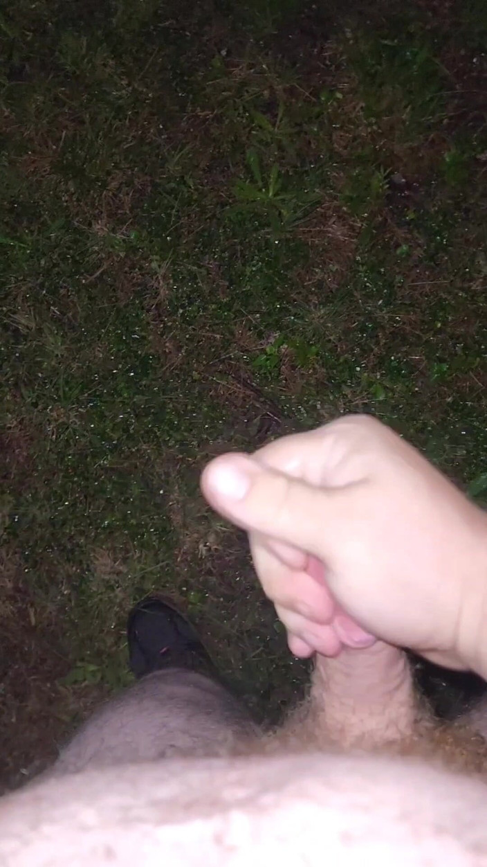 Djk31314: Almost Caught in a Park