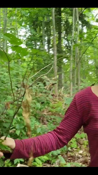 Quando due donne esplorano la foresta