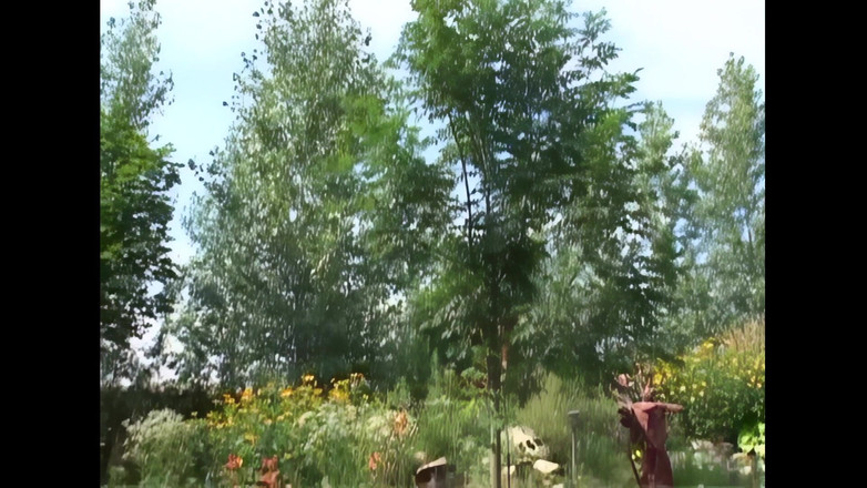 Xtime Grannies: Sexy tlusté dívky