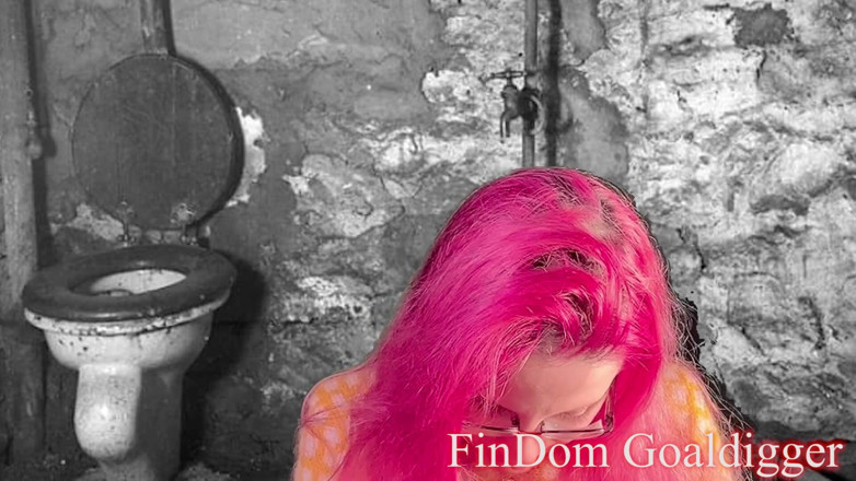 FinDom Goaldigger: 금색 화장실 변신