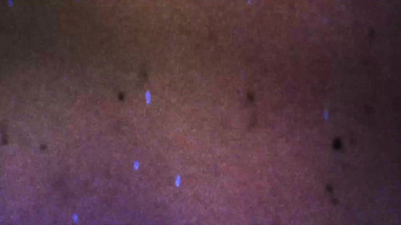 Tgirl BBW: Waria cantik trans bbw muncrat