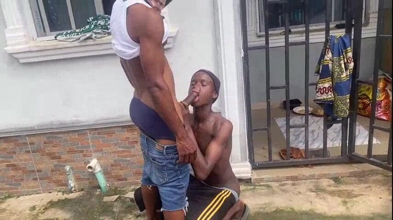 Chief_daddyy: La ayuda de la nueva casa