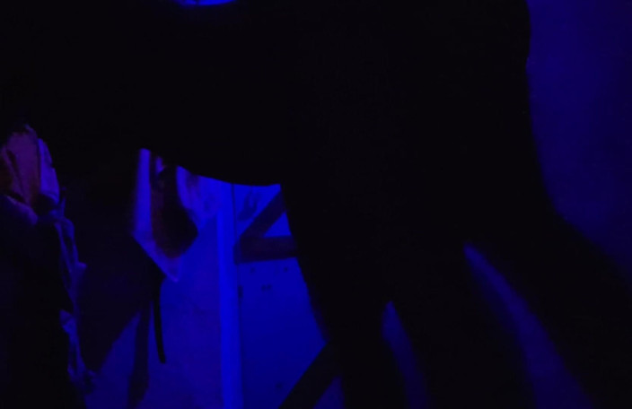 Busty Banuu: Sexo xxx vídeo de meninas indianas