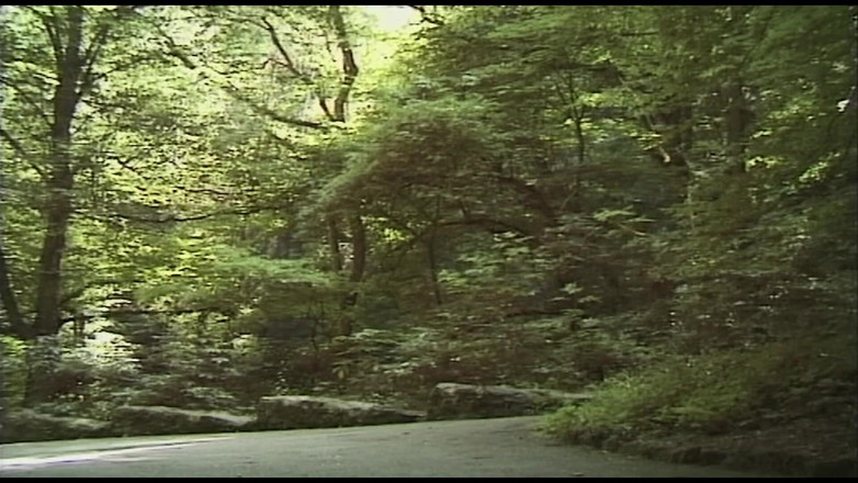 MMV Films: Blonde Babe Sucks Cock in Bathroom and Car