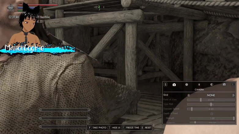 Manor Cookie: Skyrim B a L Mod - cestování po silnici a pobyt...