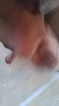 Hot Boys Sexy Video