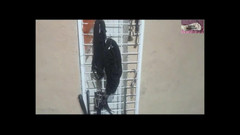 Casal Gresopio BDSM: अपने गुलाम की कांवड़ पर हावी