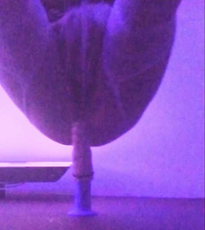 Amanda Love: Je dilate mon trou extrême