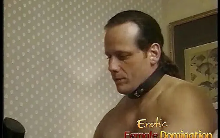 Erotic Female Domination: Brunette femdom punishing her slaves