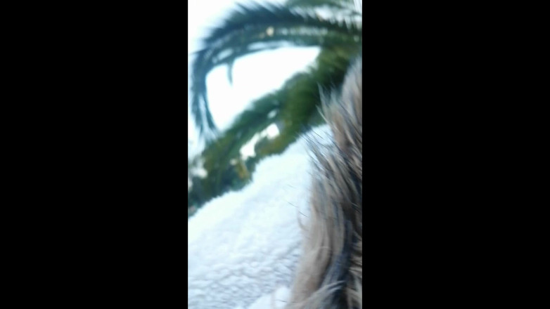 Ruxxxo18: Abang tiri Kolej Latina Colombia saya menghisap saya di taman...