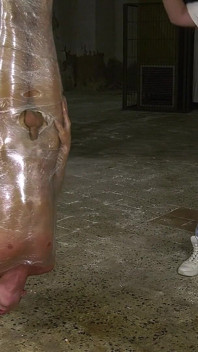 肉片のようにぶら下がっている