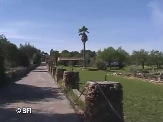 Amazing asses and pussies: Mallorca