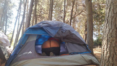 Riderqueen: Wichsen, tend