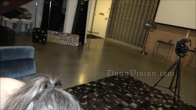 DoggVision: POV cipki do ust podwójnie pochwowy trójkąt