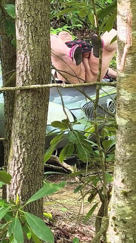 Přistihli ji, jak si tře kundičku v lese, jak stříká na kapuci auta