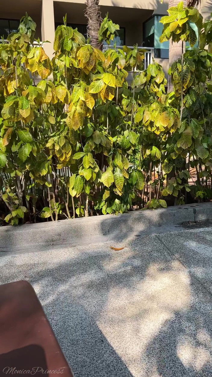 Princess Monica: Des pieds taquinent dans la nature en regardant un film