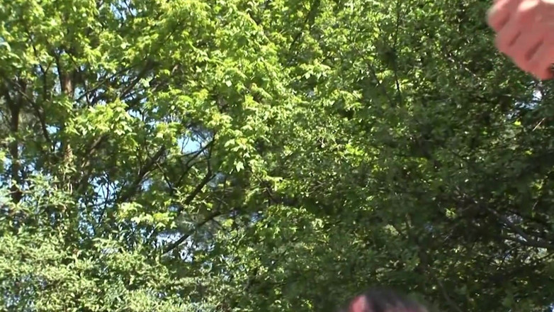 Wild outdoor milfs: Loira e morena hardcore sessões de sexo ao ar livre