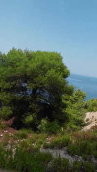 ジュリアは私の公衆トイレです