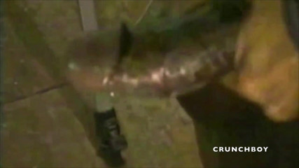 MEN BIG COCKS FUCKERS: Sucking xxl black cock with condom