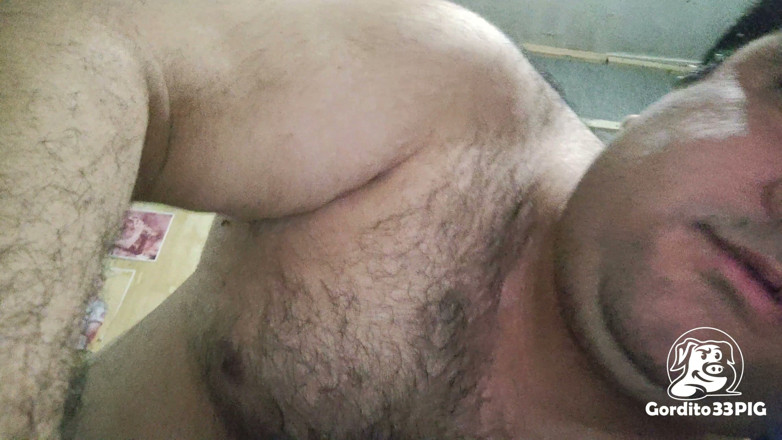 Gordito33PIG: Fat Greedy Pig Belly in Close-up
