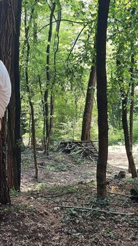 ¡le Quito La Virginidad a Un Chico Empollón Que Prometió Ayudarme En El Bosque!