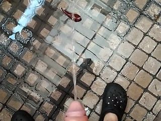charlessteel: 家の庭で屋外放尿