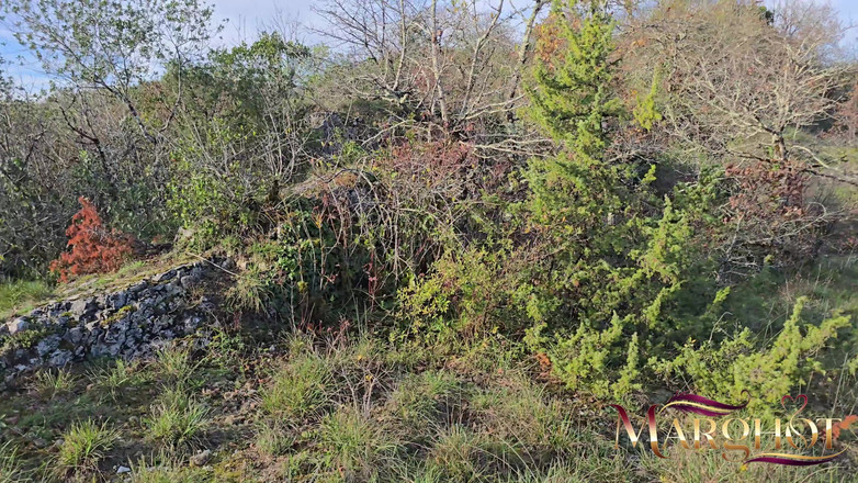 Sexymarghot: The Open-air Ban My Stepson Succumbs to the Wild Temptation