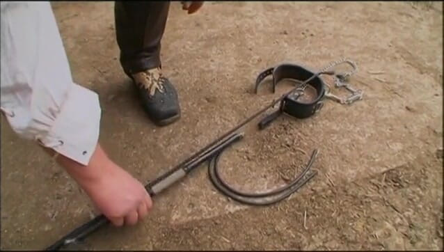 Absolute BDSM films - The original: Lelaki tua bertetek besar menghina di ladang