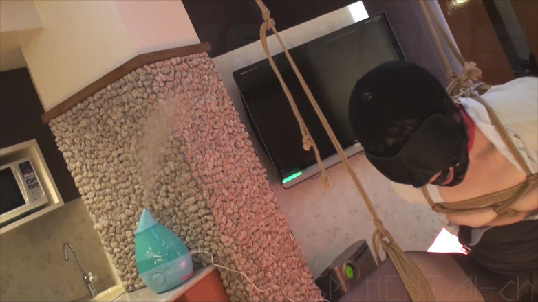 BDSM_HENTAI-ch: Навчання японського раба, том 052