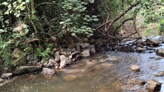 Tiffany Montavani: It Was a Simple Walk on a Trail with My...