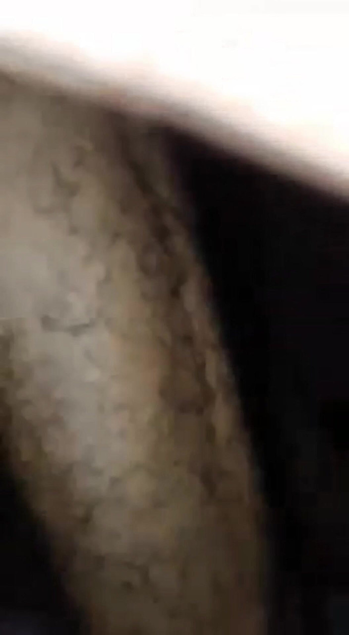 Junior_bear: Viejo Maduro