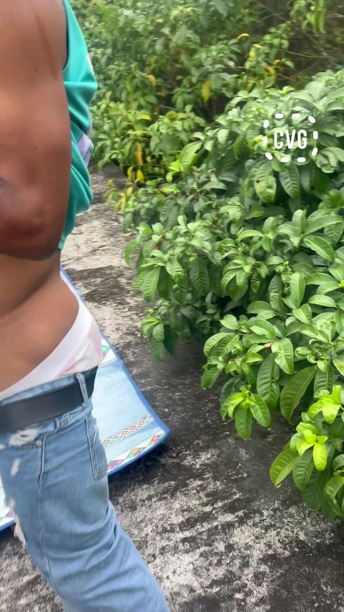 Creamyverseguy2: I já miluji ptáka, který déšť mě nemohl zastavit