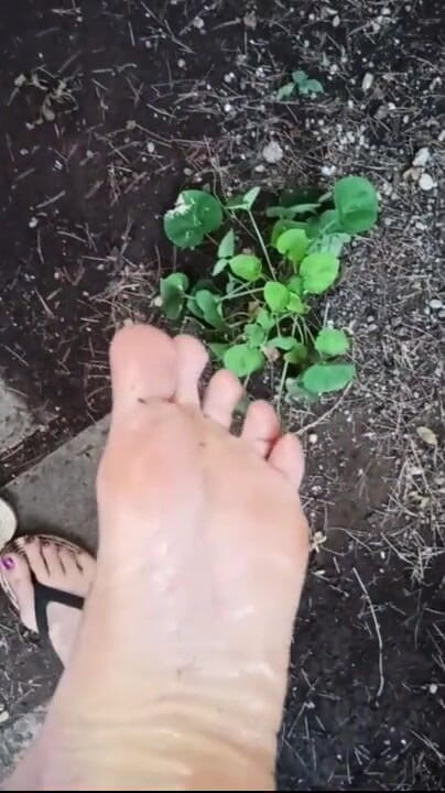 Miss Wagon Vegan Fetish: Miss Wagon vegan summer piedi feticcio 2020