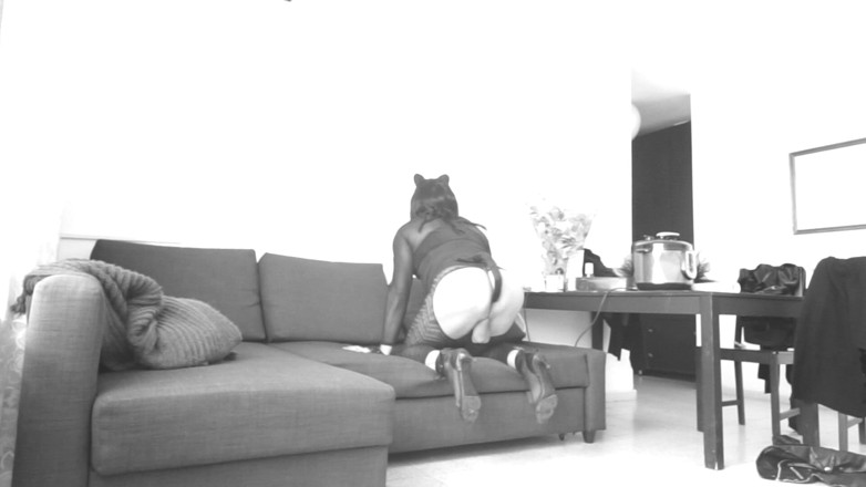 Voyager: Jurulatih Silang Menunjuk-nunjuk. melalui kamera web.