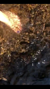 Memórias de Verão dos Dias Nebulosos