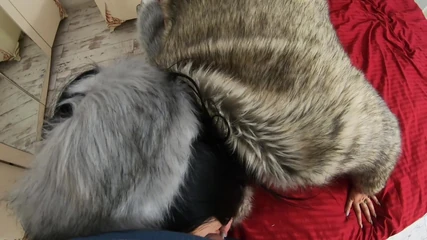 MilfyCalla: Milfycalla- Masturbating While Wearing Fur Coat and Shiny High Heels 205