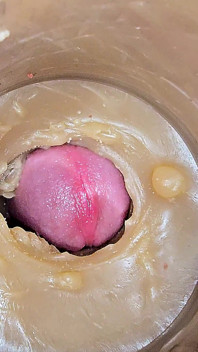 Super Cum in. Excellent Internal Camera 4K