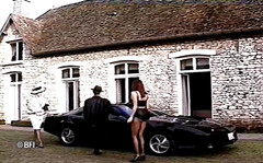 House of lords and mistresses in the spanking zone: Dominanz-lesben- DVD